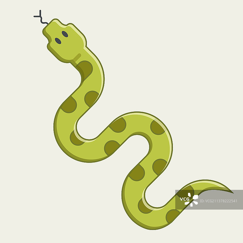 绿色蛇爬行，危险的蝰蛇图片素材