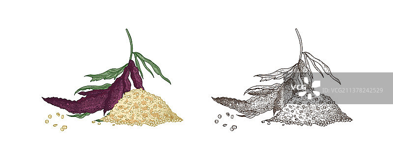 彩色和单色绘画作品集图片素材