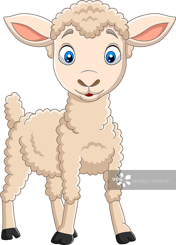 卡通快乐的羔羊，白色背景上孤立图片素材