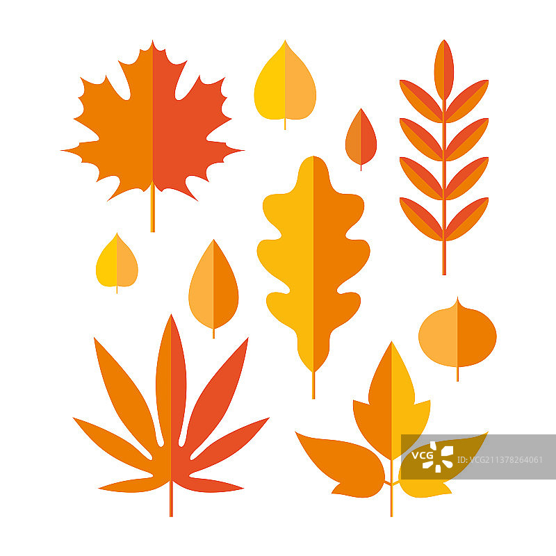 扁平风格的明亮秋叶组合图片素材