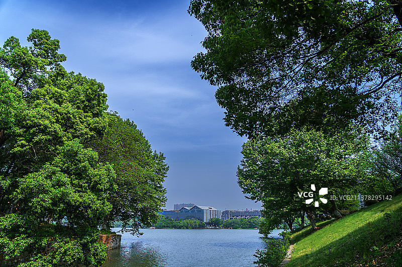天井湖公园图片素材