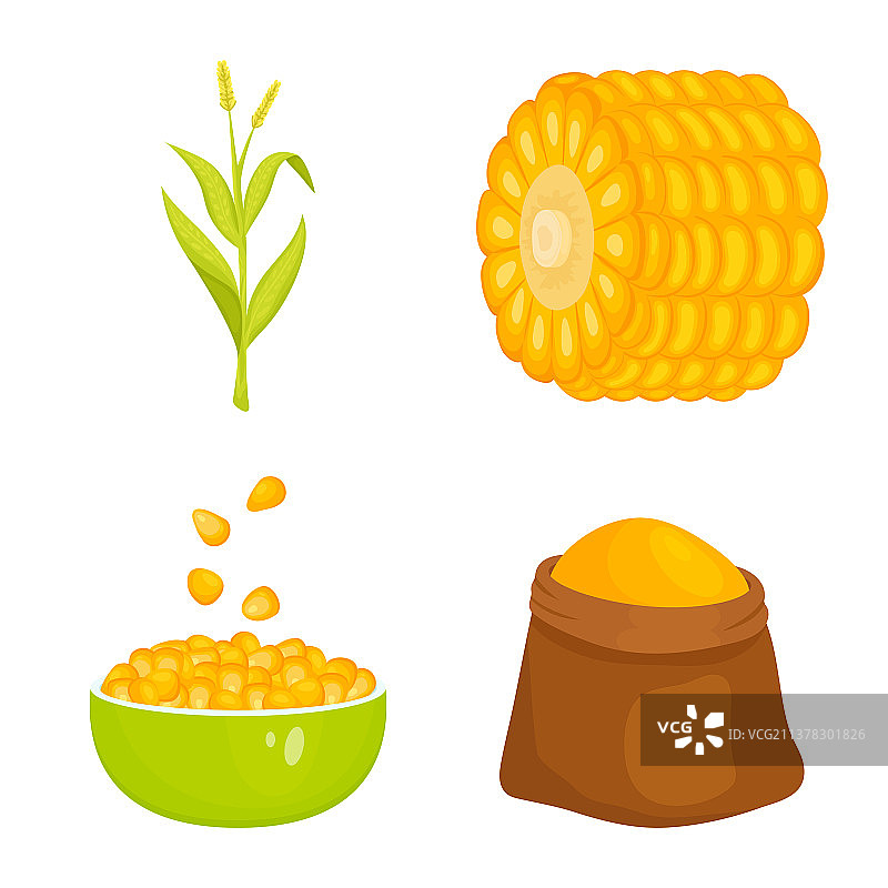 玉米和食物标志组合图片素材