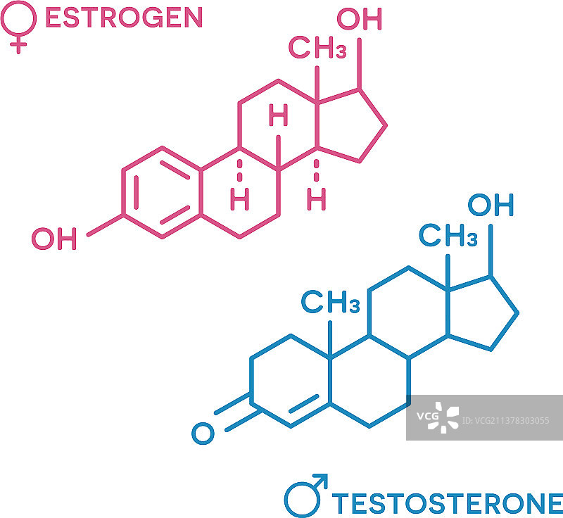 雌激素和睾酮激素符号图片素材