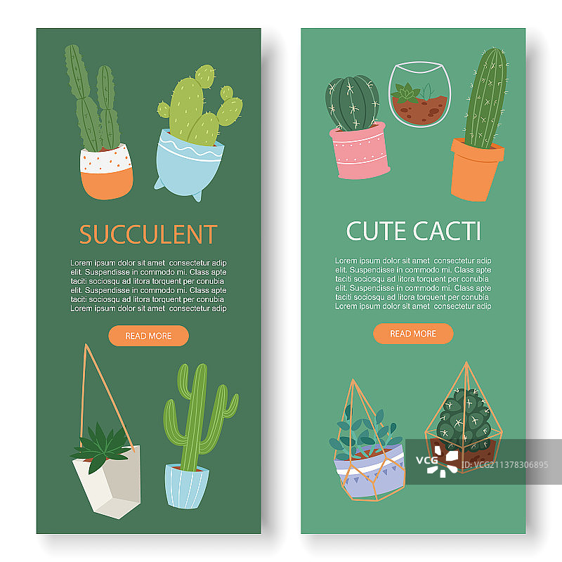 多肉植物和仙人掌竖版植物图图片素材