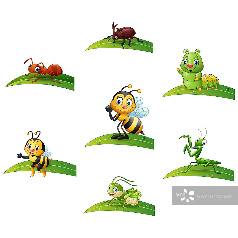 卡通树叶上的昆虫合集图片素材