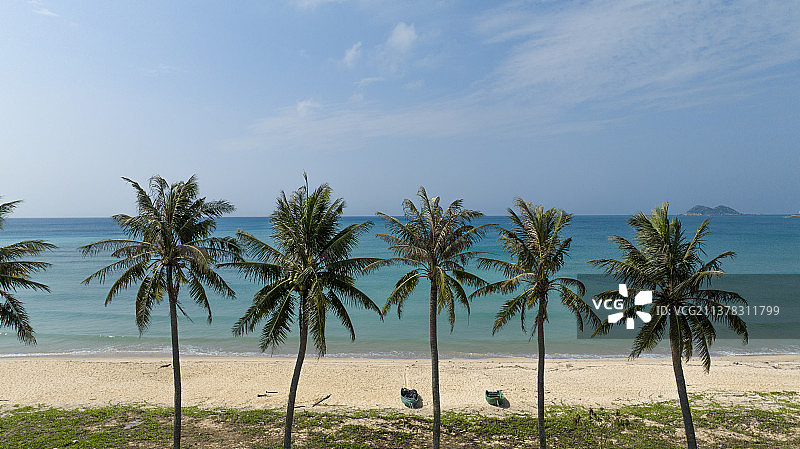 椰林海岸图片素材
