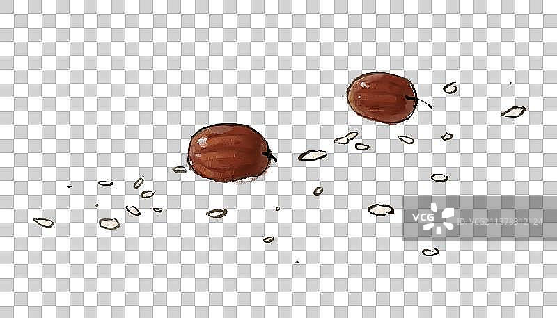 端午节插画元素图片素材