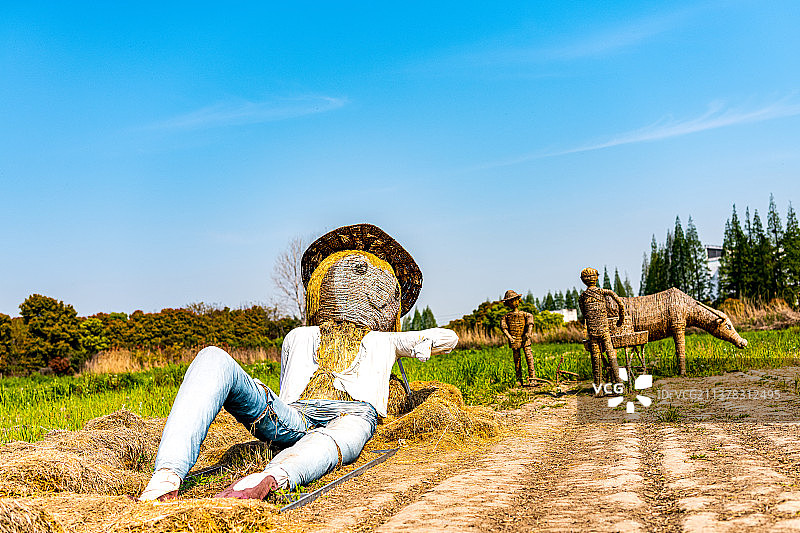蓝天白云下的稻草人.江南田园自然风光图片素材