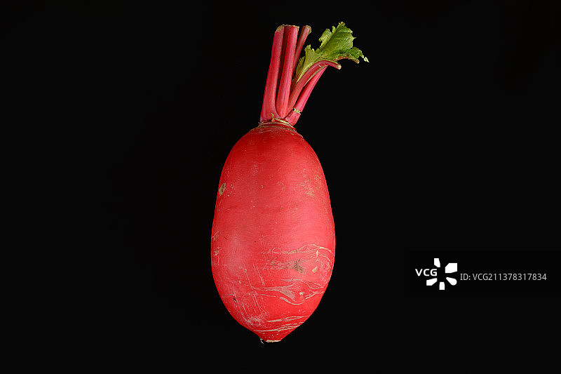 萝卜（纯黑背景）图片素材