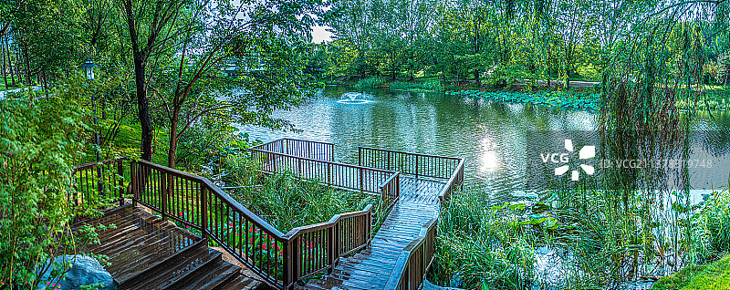 夏日公园里湖边的美景图片素材