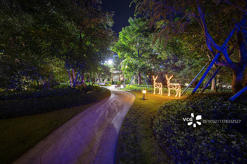 园林夜晚宁静的小路图片素材