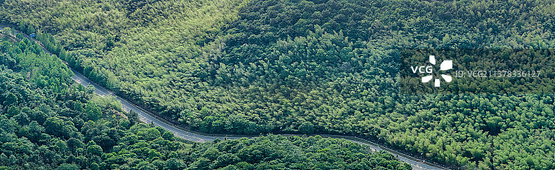 航拍林间的公路图片素材