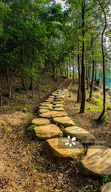 树林里的石板小路图片素材