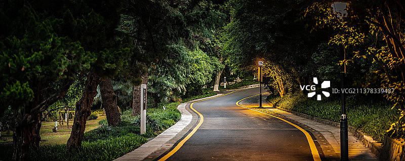弯曲的公路夜景图片素材