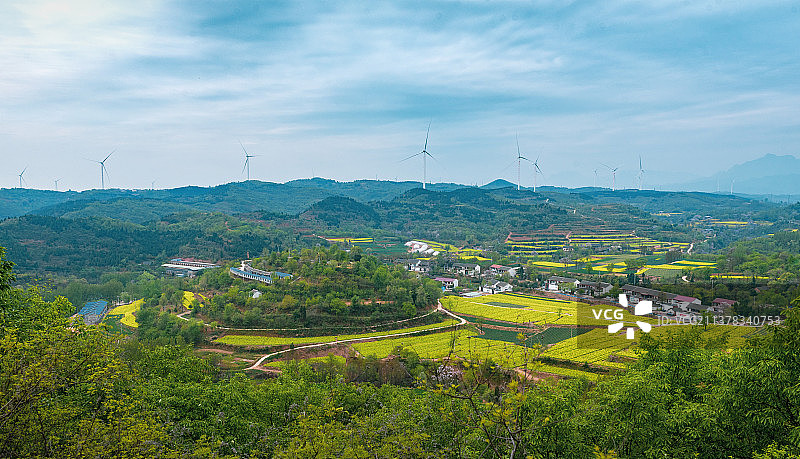 王屋山下菜花香图片素材