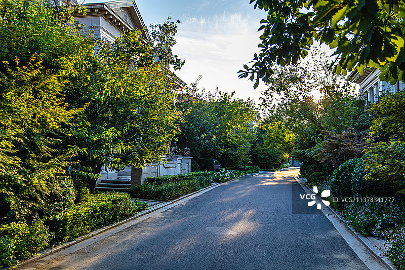 房地产别墅外街道图片素材