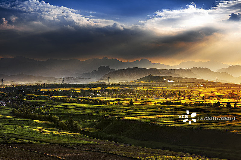 油菜花田图片素材