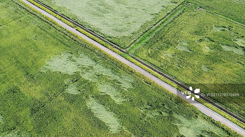 麦田航拍图片素材