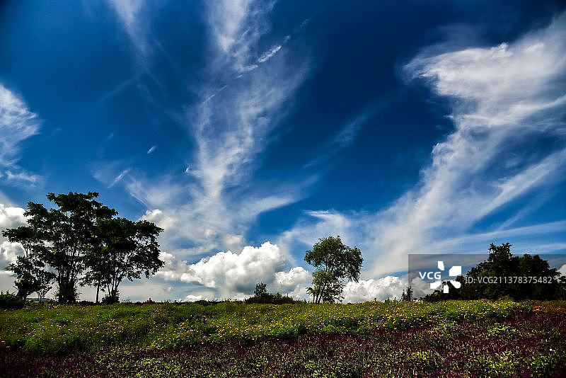 春意浓浓图片素材