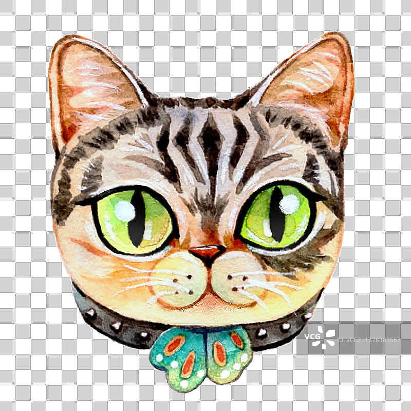 狸花猫猫头图片素材