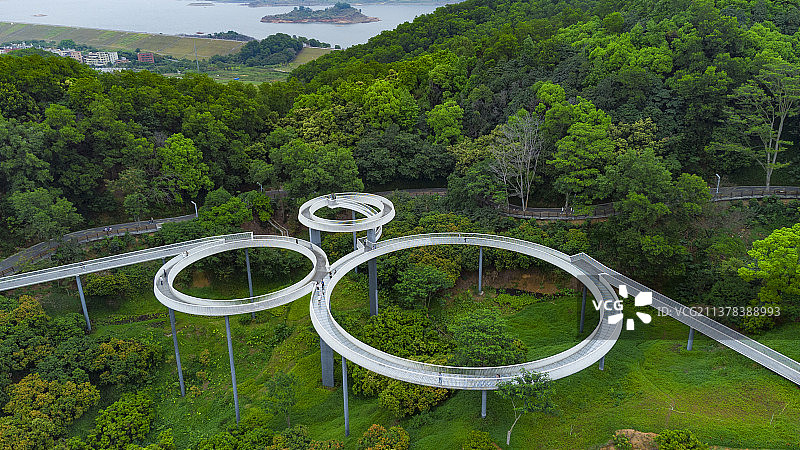 绿野仙踪图片素材