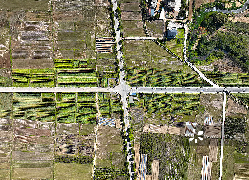 广东省惠州市惠城区横沥镇墨园村油菜花海航拍图片素材