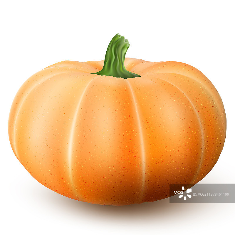 白色背景上孤立的逼真微距橙色南瓜图片素材