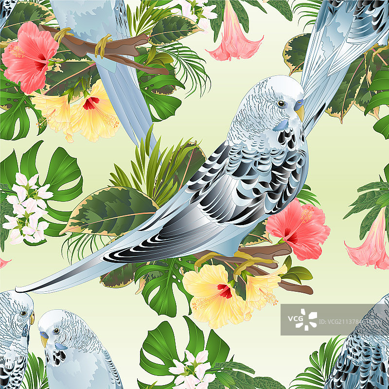 三只鹦鹉无缝纹理图片素材