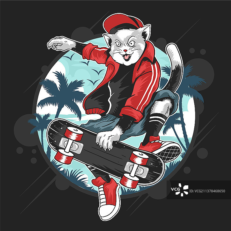 戴帽子的猫玩滑板图片素材