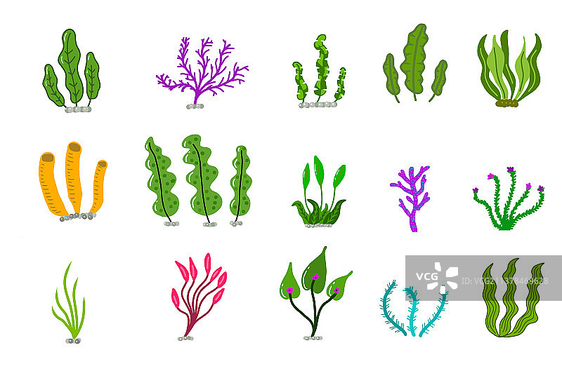 水族箱海洋珊瑚图片素材