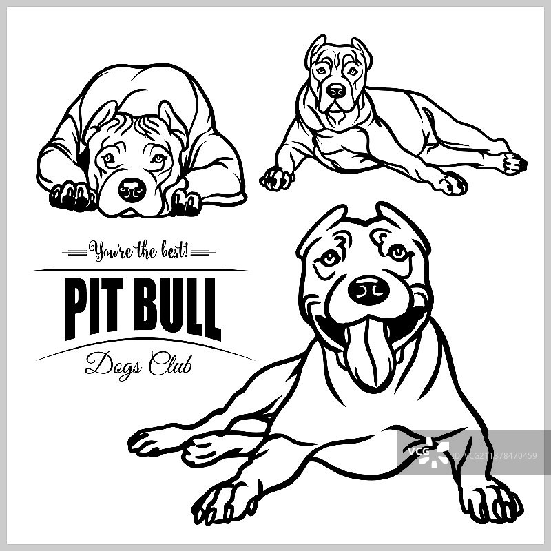 比特犬图案合集图片素材