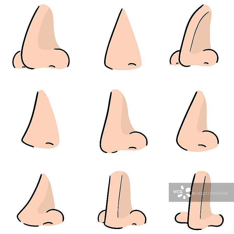 鼻子图片素材