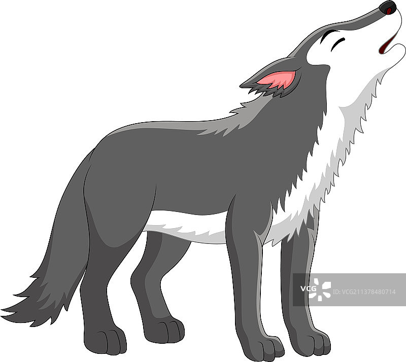 白色背景上嚎叫的卡通狼图片素材