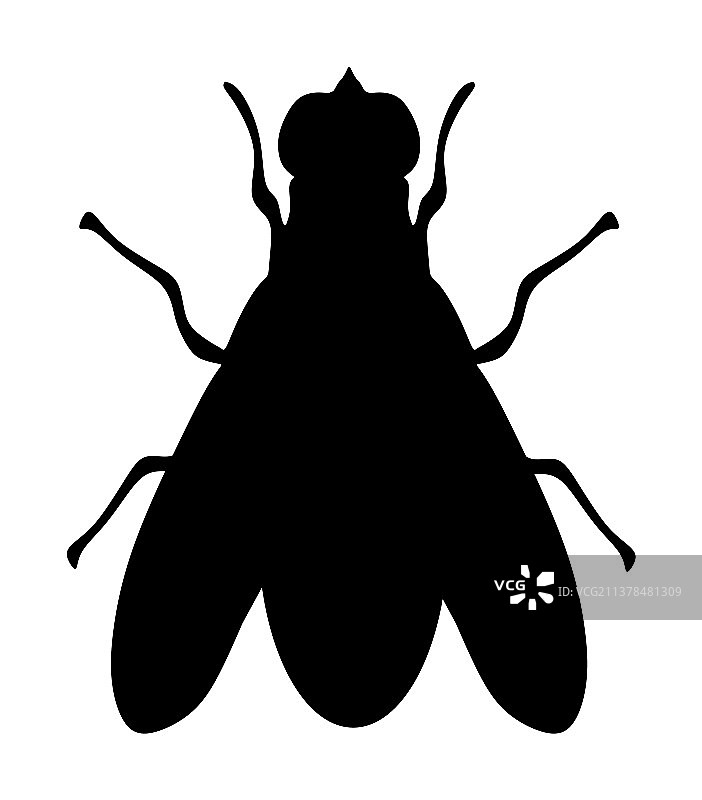 白色背景上的飞行图标轮廓图片素材