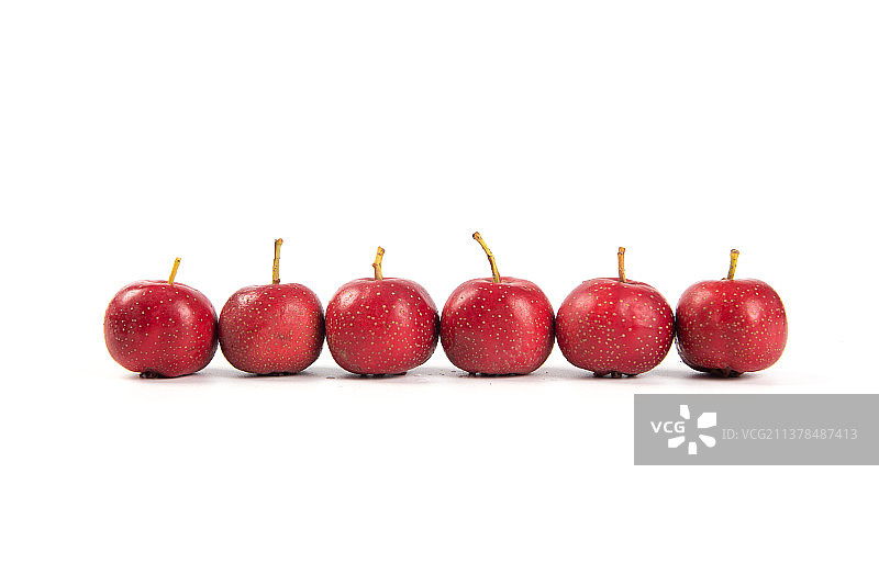白底上的红山楂图片素材