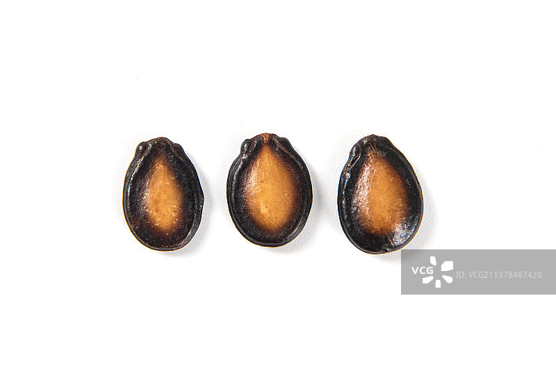 白底上的西瓜子图片素材