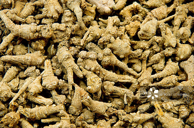 中药材三七图片素材