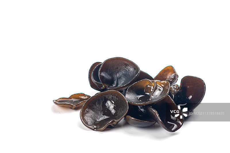 泡发的黑木耳图片素材