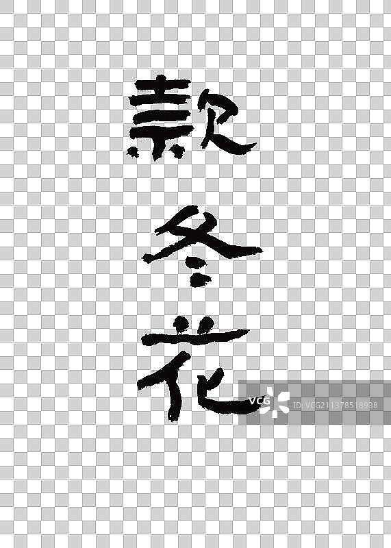 本草纲目中草药名称书法手写毛笔字款冬花图片素材