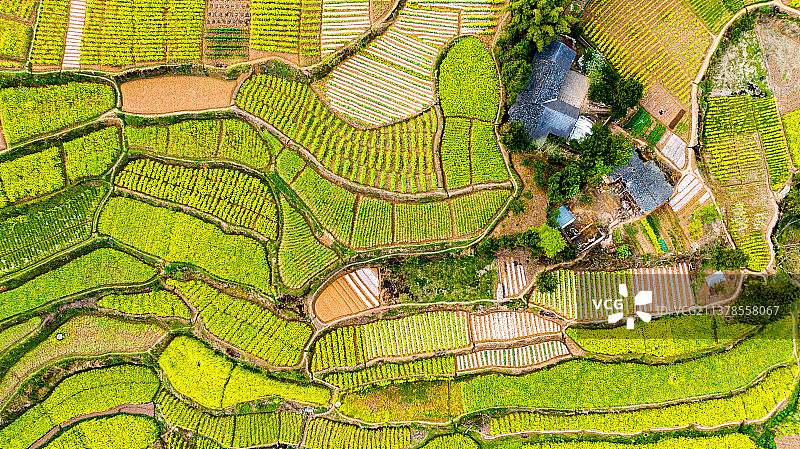 田园风光图片素材