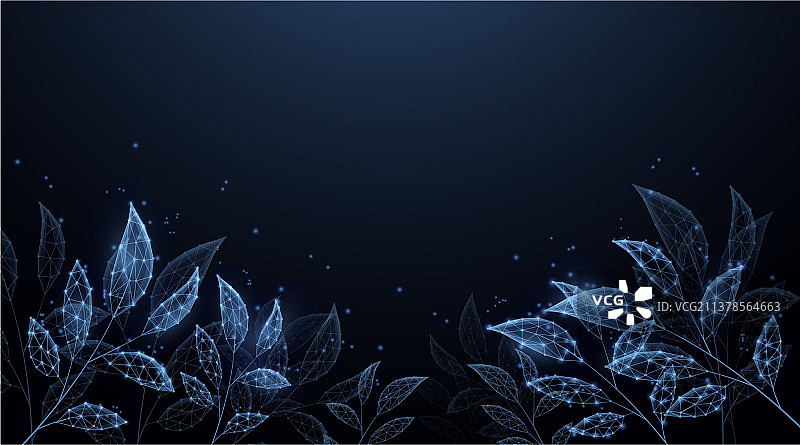 生态技术背景数字叶图片素材