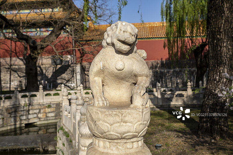 北京故宫丁香花丛中断虹桥上的石狮子图片素材