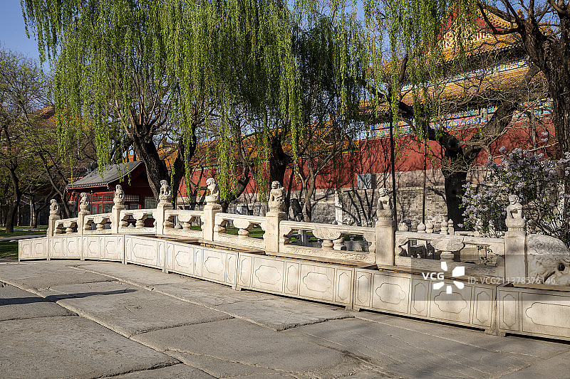 北京故宫丁香花丛中断虹桥上的石狮子图片素材