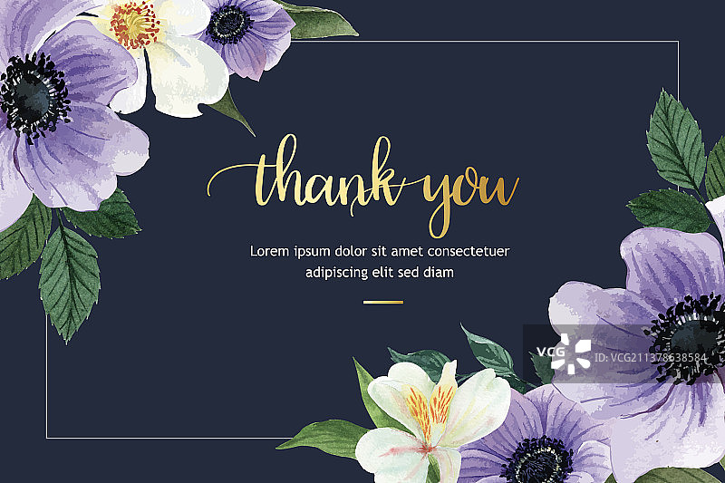 植物花卉水彩绽放边框图片素材