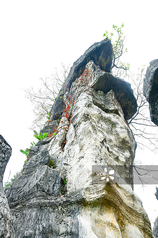 重庆万盛石林图片素材