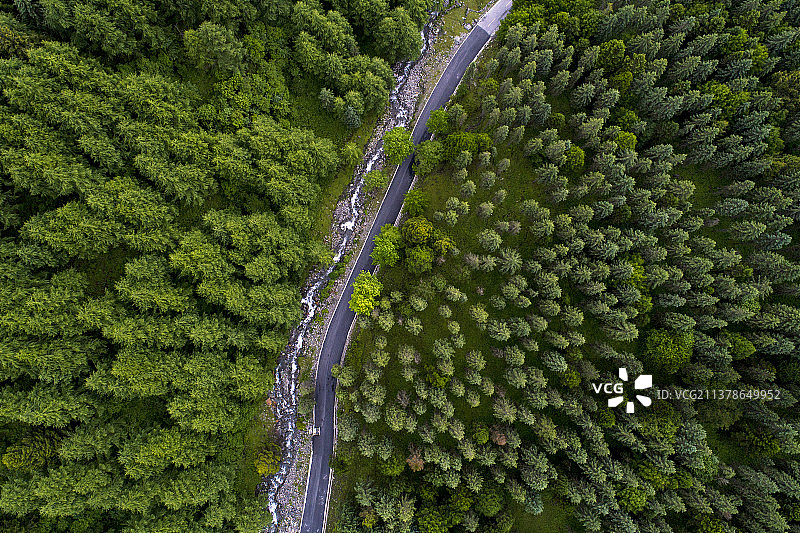 森林之中的路--四川雅安宝兴县神木垒景区图片素材