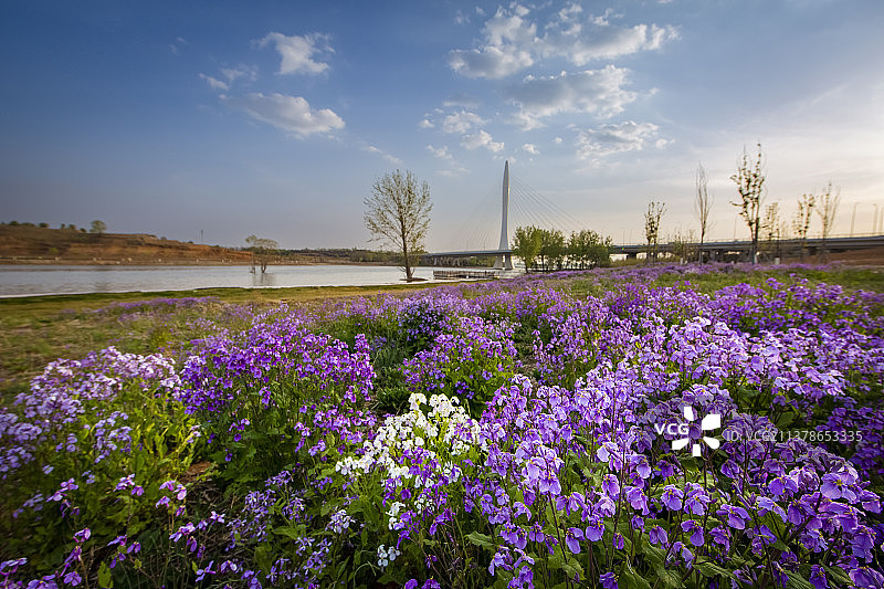 漳泽湖国家湿地公园景观图片素材