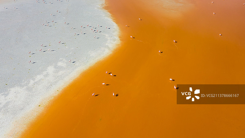 玻利维亚火山湖红湖火烈鸟航拍图片素材