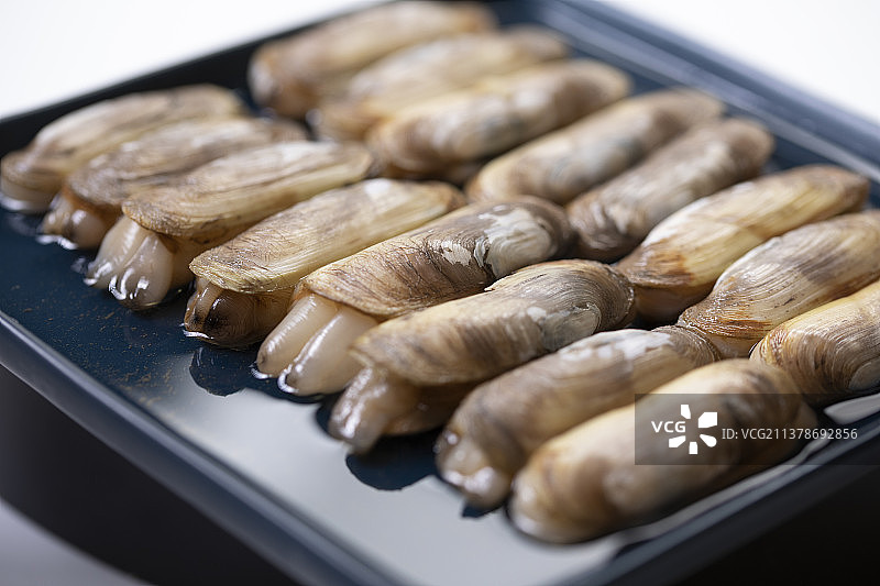 海鲜贝类蛏子图片素材