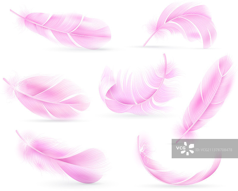 粉色羽毛鸟类或天使羽毛图片素材